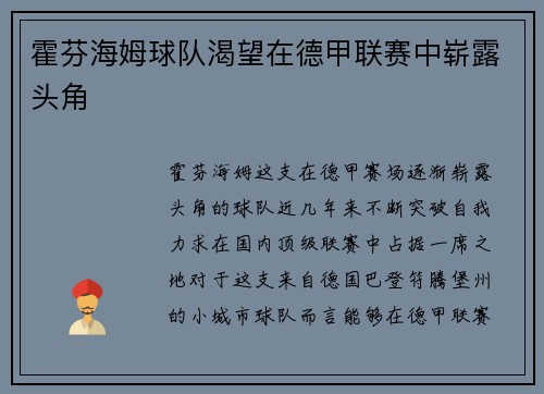 霍芬海姆球队渴望在德甲联赛中崭露头角